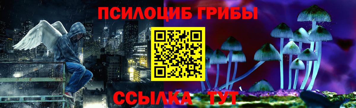 Амурск  Галлюциногенные грибы Cubensis  Вход с VPN 